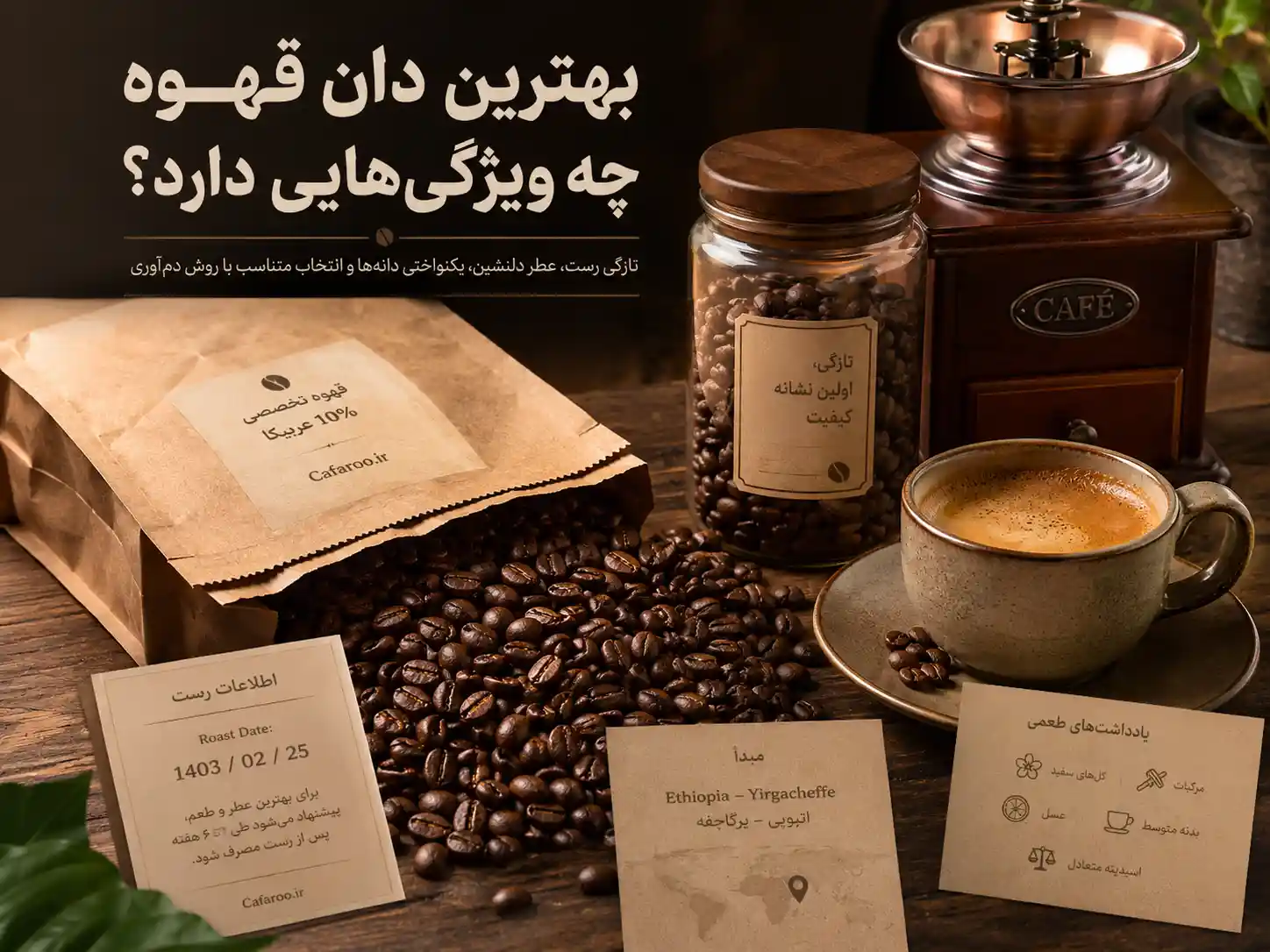 بهترین دان قهوه