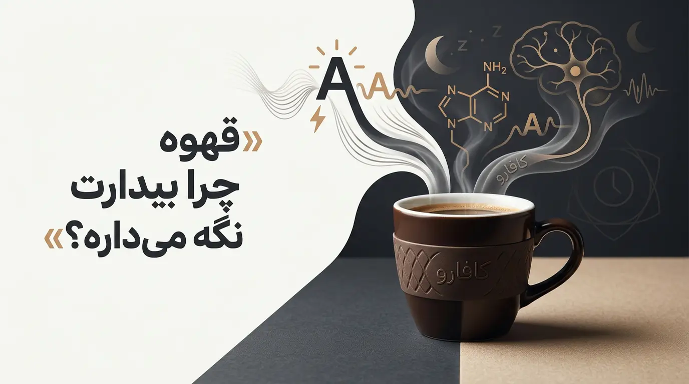 چرا قهوه خواب را میپراند؟