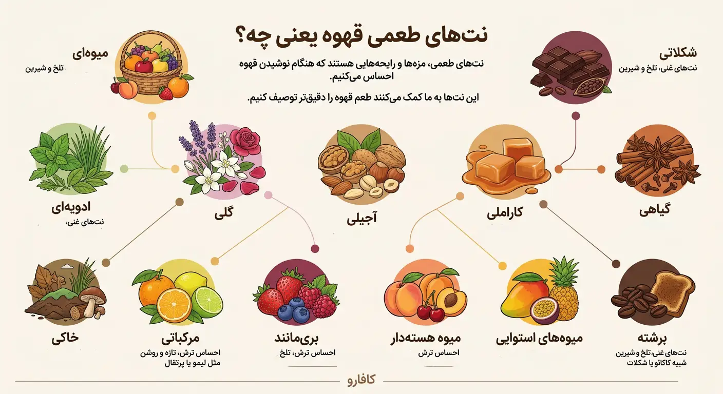 نت های طعمی قهوه