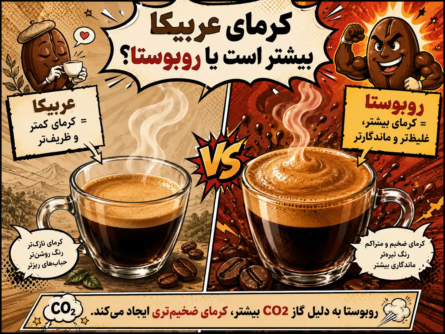 کرمای عربیکا بیشتر است یا روبوستا؟